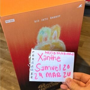 Labubu BIG INTO ENERGY medium doll